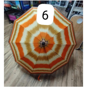 Paraguas Grande 10 Varillas Paraguas Diseño Invierno Lluvia!